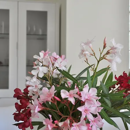 Holiday home Chalet Las Rosas Denia